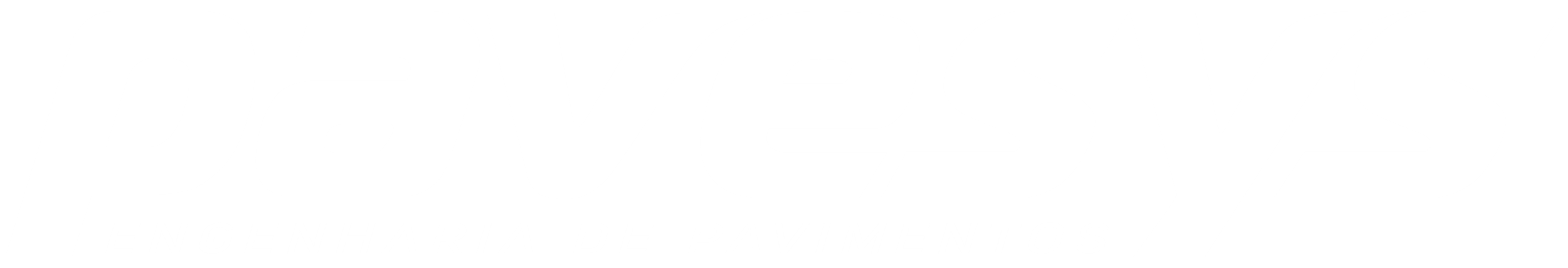 Pavesys